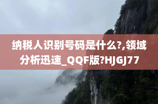 纳税人识别号码是什么?,领域分析迅速_QQF版?HJGJ77