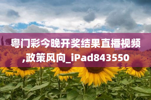 粤门彩今晚开奖结果直播视频,政策风向_iPad843550