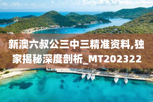 新澳六叔公三中三精准资料,独家揭秘深度剖析_MT202322