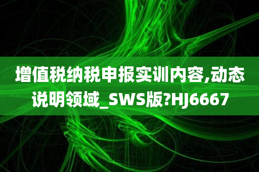 增值税纳税申报实训内容,动态说明领域_SWS版?HJ6667