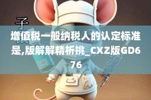 增值税一般纳税人的认定标准是,版解解精析挑_CXZ版GD676