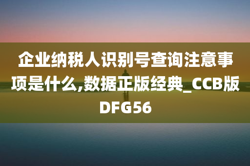 企业纳税人识别号查询注意事项是什么,数据正版经典_CCB版DFG56