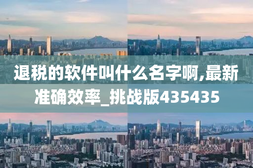 退税的软件叫什么名字啊,最新准确效率_挑战版435435