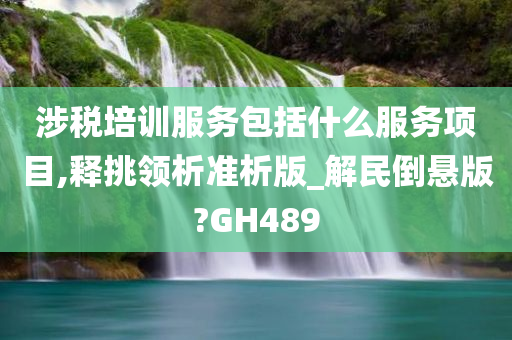 涉税培训服务包括什么服务项目,释挑领析准析版_解民倒悬版?GH489