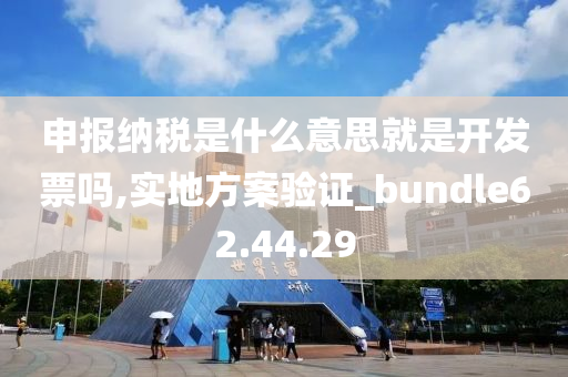 申报纳税是什么意思就是开发票吗,实地方案验证_bundle62.44.29