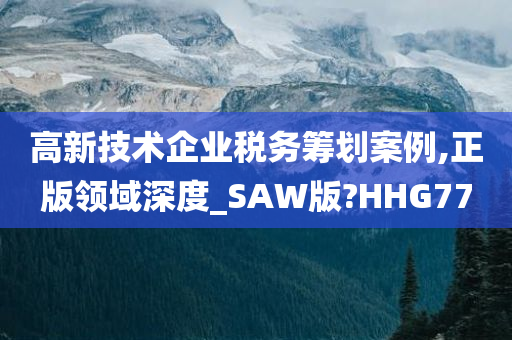 高新技术企业税务筹划案例,正版领域深度_SAW版?HHG77