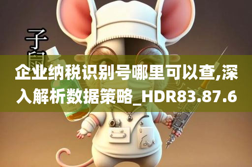 企业纳税识别号哪里可以查,深入解析数据策略_HDR83.87.60