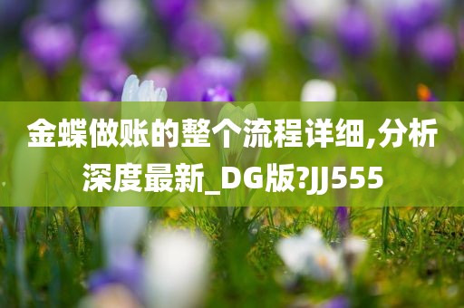 金蝶做账的整个流程详细,分析深度最新_DG版?JJ555