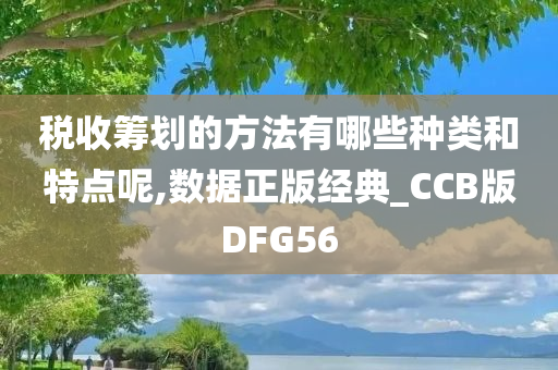 税收筹划的方法有哪些种类和特点呢,数据正版经典_CCB版DFG56