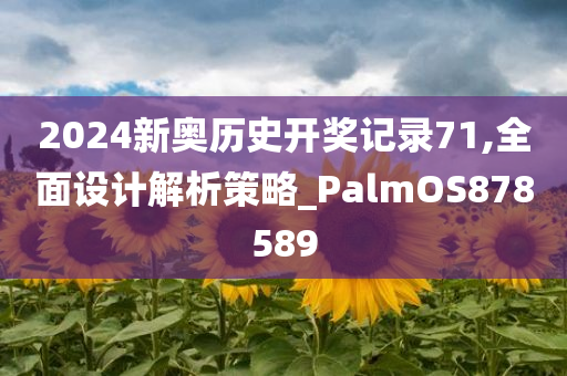 2024新奥历史开奖记录71,全面设计解析策略_PalmOS878589