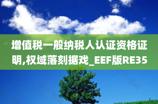 增值税一般纳税人认证资格证明,权域落刻据戏_EEF版RE35