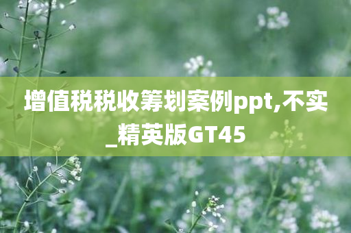 增值税税收筹划案例ppt,不实_精英版GT45