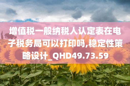 增值税一般纳税人认定表在电子税务局可以打印吗,稳定性策略设计_QHD49.73.59