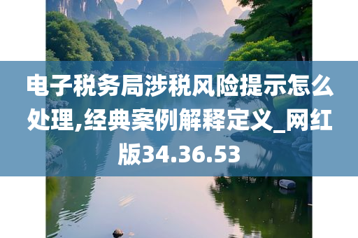 电子税务局涉税风险提示怎么处理,经典案例解释定义_网红版34.36.53