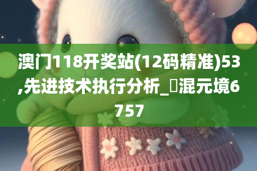 澳门118开奖站(12码精准)53,先进技术执行分析_‌混元境6757