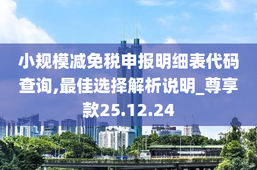 小规模减免税申报明细表代码查询,最佳选择解析说明_尊享款25.12.24