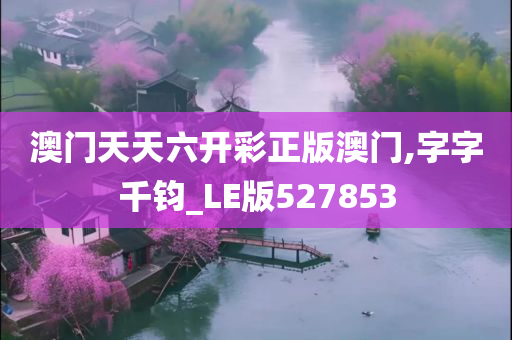 澳门天天六开彩正版澳门,字字千钧_LE版527853