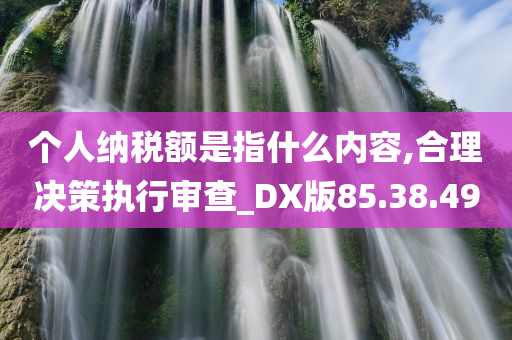 个人纳税额是指什么内容,合理决策执行审查_DX版85.38.49