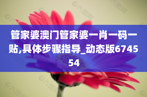 管家婆澳门管家婆一肖一码一贴,具体步骤指导_动态版674554