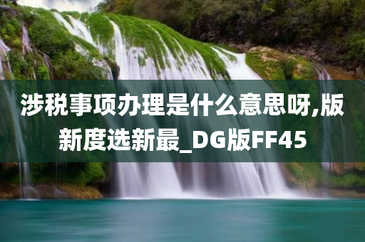 涉税事项办理是什么意思呀,版新度选新最_DG版FF45