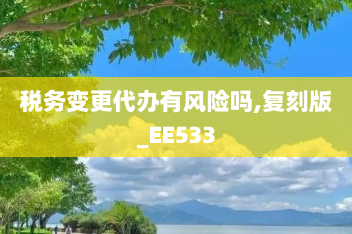 税务变更代办有风险吗,复刻版_EE533