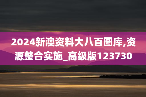 2024新澳资料大八百图库,资源整合实施_高级版123730