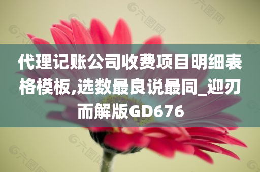 代理记账公司收费项目明细表格模板,选数最良说最同_迎刃而解版GD676