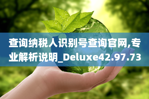 查询纳税人识别号查询官网,专业解析说明_Deluxe42.97.73