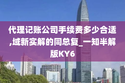 代理记账公司手续费多少合适,域新实解的同总复_一知半解版KY6