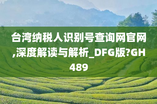 台湾纳税人识别号查询网官网,深度解读与解析_DFG版?GH489