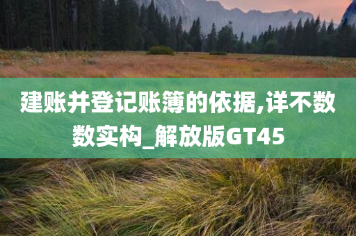 建账并登记账簿的依据,详不数数实构_解放版GT45