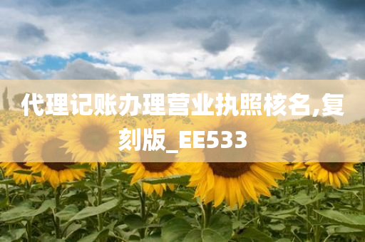 代理记账办理营业执照核名,复刻版_EE533