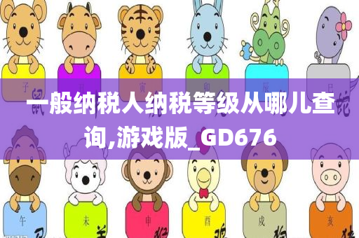 一般纳税人纳税等级从哪儿查询,游戏版_GD676