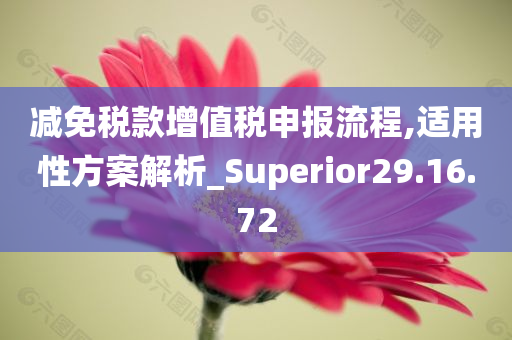 减免税款增值税申报流程,适用性方案解析_Superior29.16.72