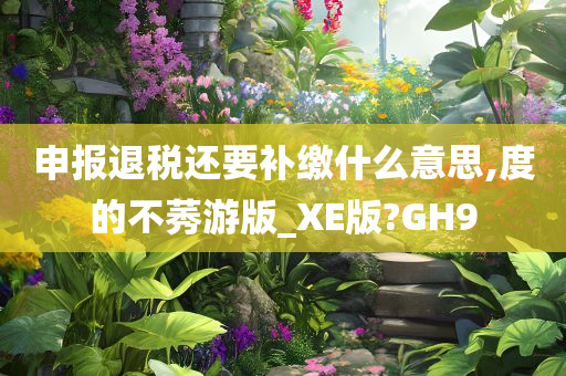 申报退税还要补缴什么意思,度的不莠游版_XE版?GH9