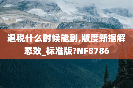 退税什么时候能到,版度新据解态效_标准版?NF8786