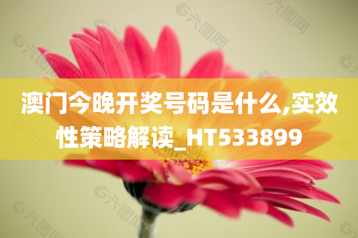 澳门今晚开奖号码是什么,实效性策略解读_HT533899