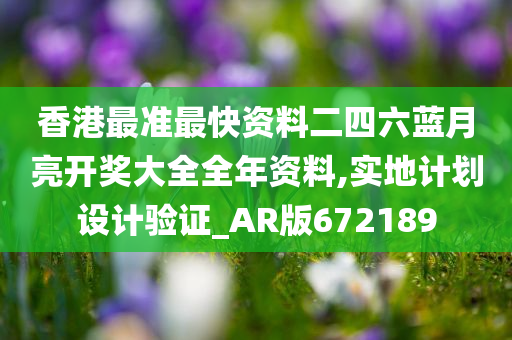 香港最准最快资料二四六蓝月亮开奖大全全年资料,实地计划设计验证_AR版672189