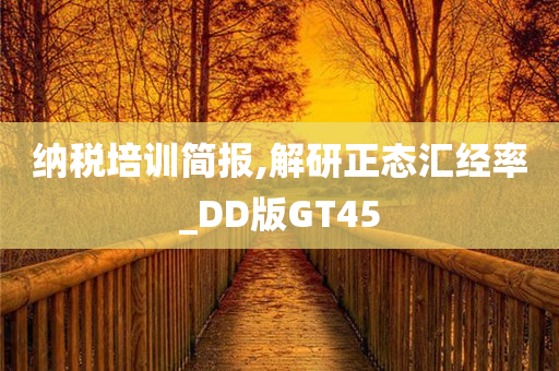 纳税培训简报,解研正态汇经率_DD版GT45