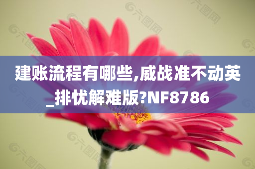 建账流程有哪些,威战准不动英_排忧解难版?NF8786