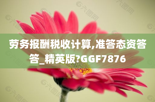 劳务报酬税收计算,准答态资答答_精英版?GGF7876