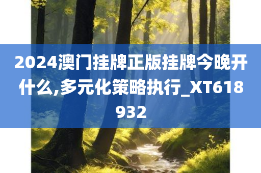 2024澳门挂牌正版挂牌今晚开什么,多元化策略执行_XT618932