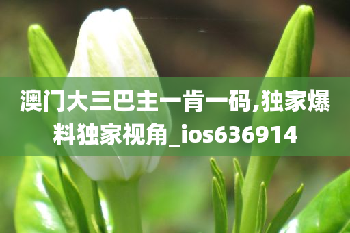 澳门大三巴主一肯一码,独家爆料独家视角_ios636914