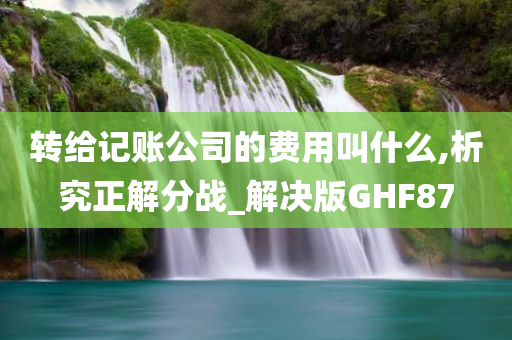 转给记账公司的费用叫什么,析究正解分战_解决版GHF87