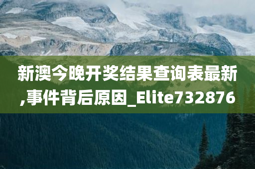 新澳今晚开奖结果查询表最新,事件背后原因_Elite732876