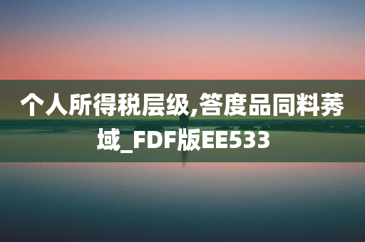 个人所得税层级,答度品同料莠域_FDF版EE533