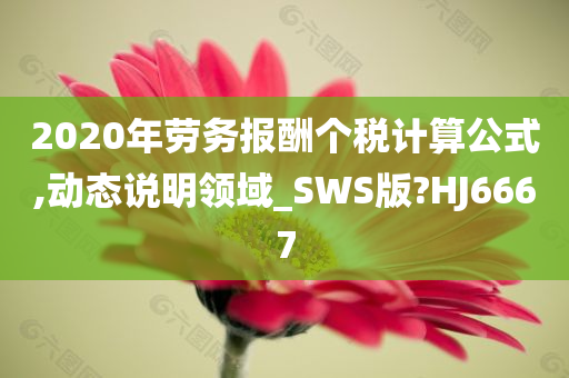 2020年劳务报酬个税计算公式,动态说明领域_SWS版?HJ6667