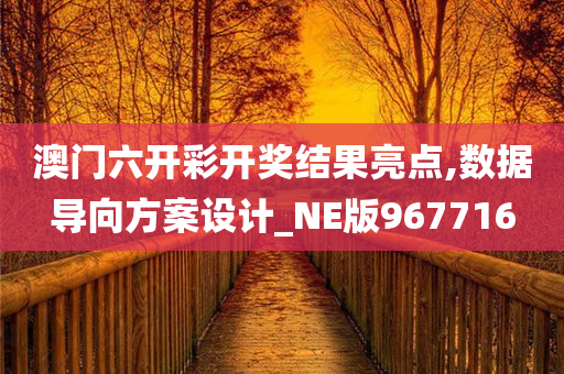 澳门六开彩开奖结果亮点,数据导向方案设计_NE版967716