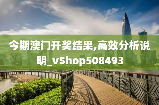 今期澳门开奖结果,高效分析说明_vShop508493