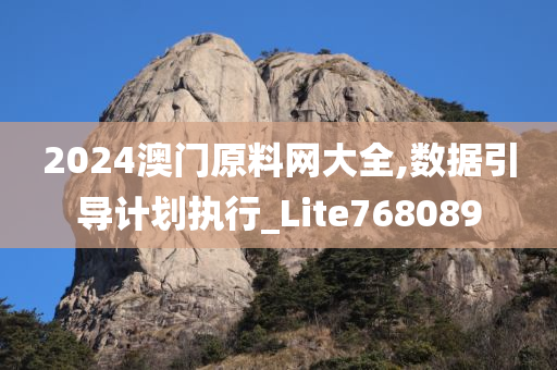 2024澳门原料网大全,数据引导计划执行_Lite768089